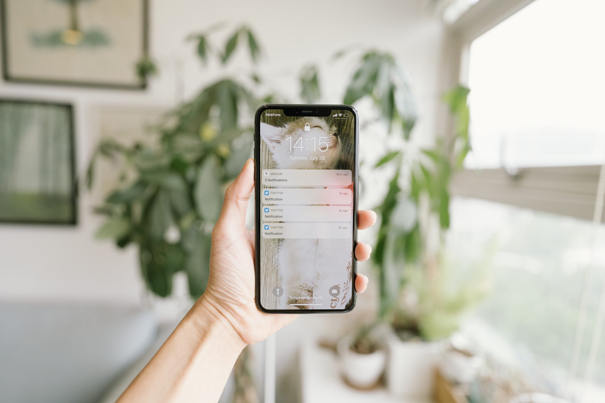 tran-mau-tri-tam-NFJ0bCT1RSk-unsplash